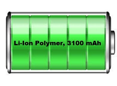 3100mAh_Battery