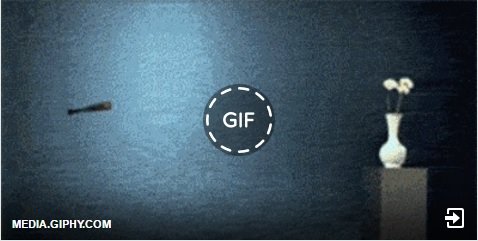 GIF_Support