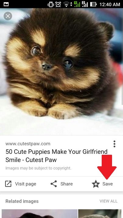 google-image-search-puppy