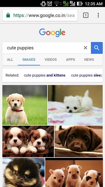google-image-search
