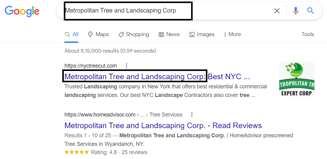 Google update example
